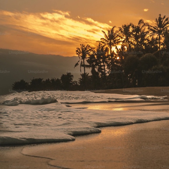 Meet your Posher, Thrifty - Picture 1 of 1